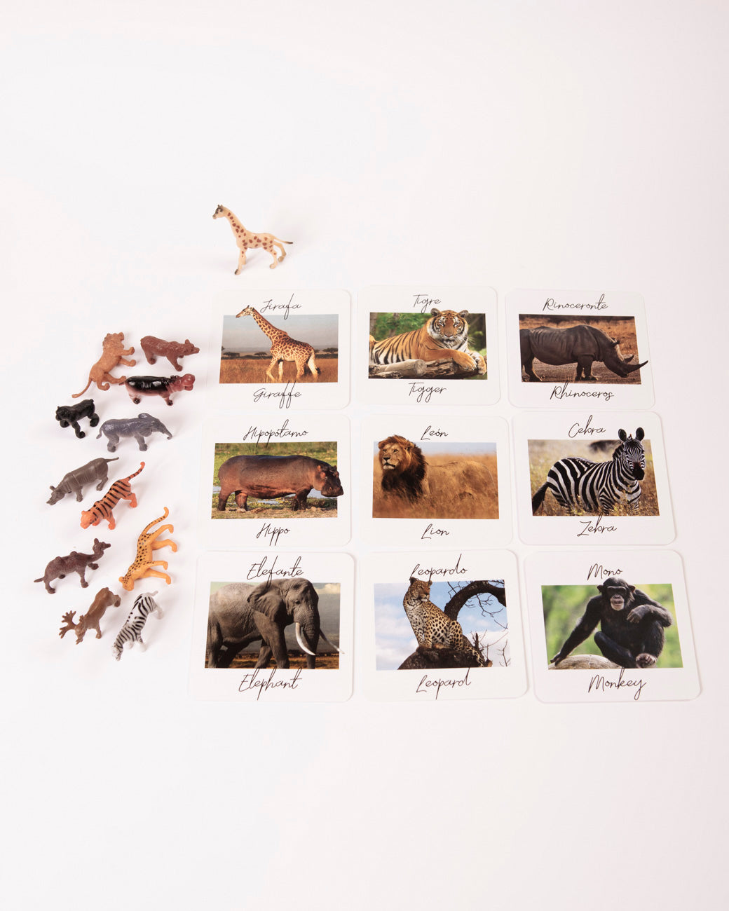 SET Wild Animals
