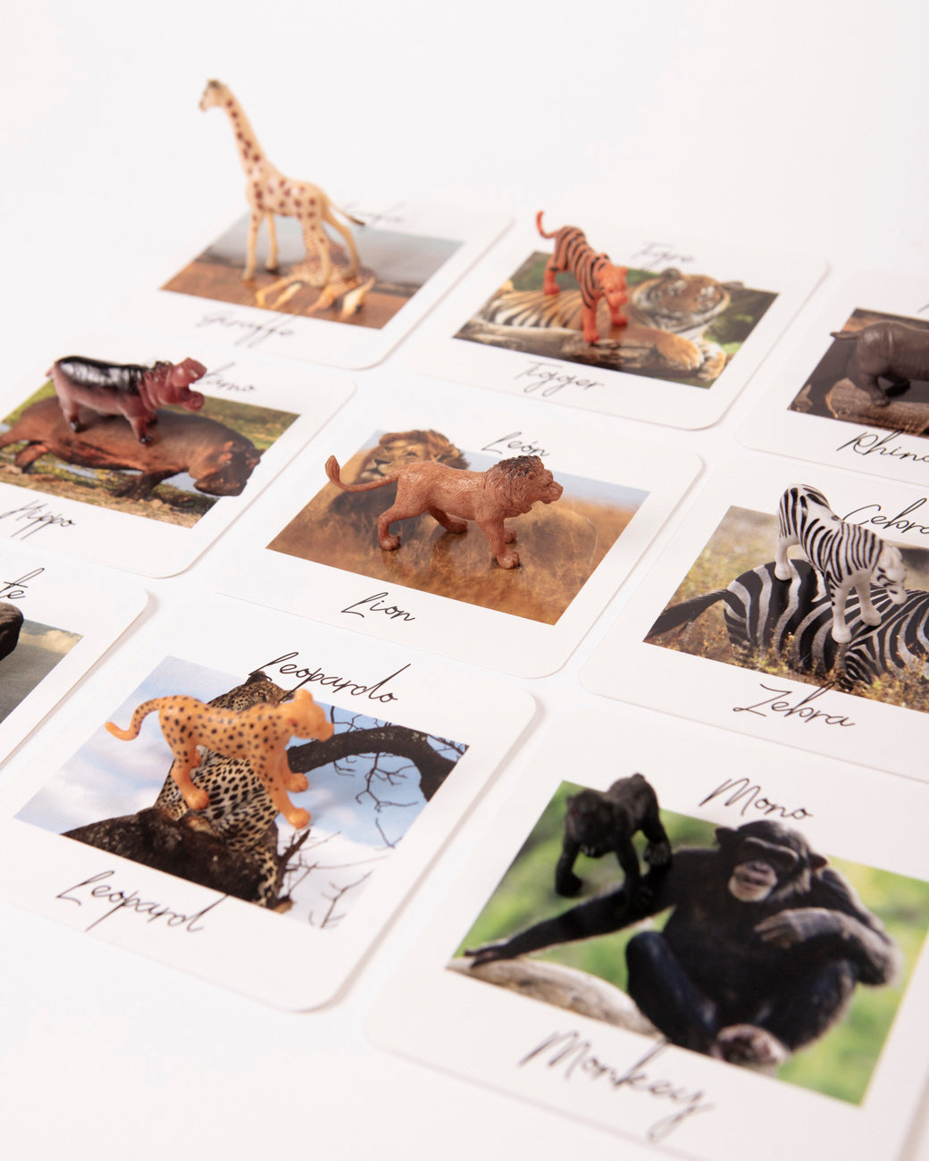 SET Wild Animals