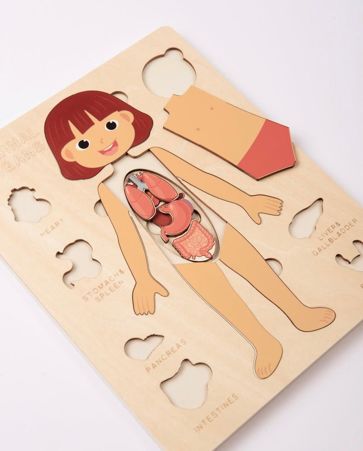 SET Puzzle Órganos