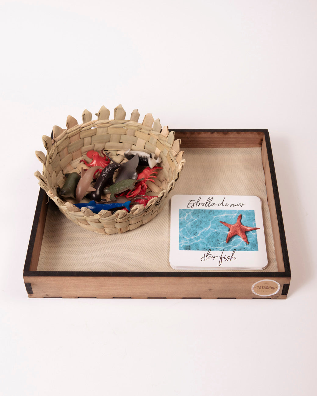 SET Sea Animals