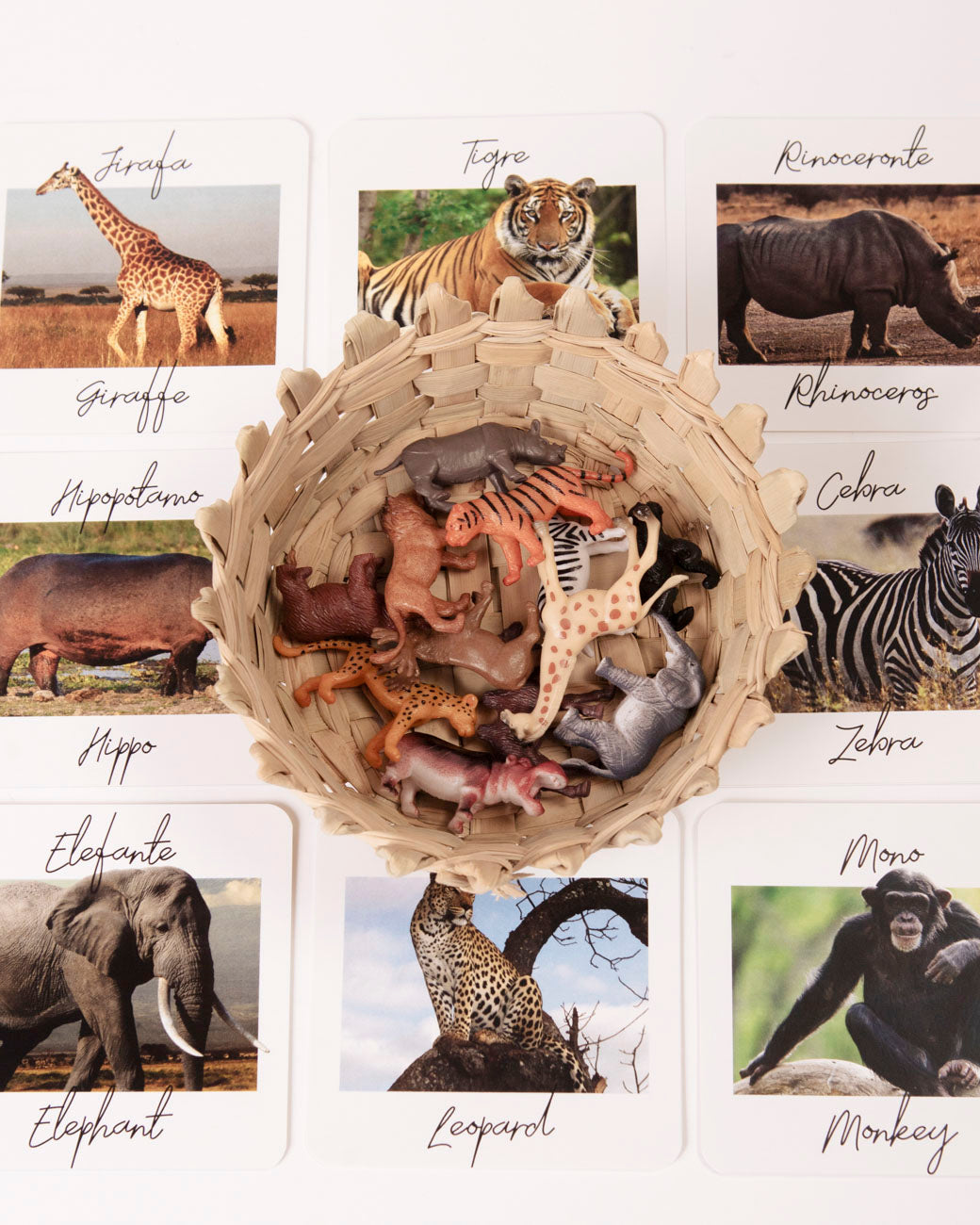 SET Wild Animals