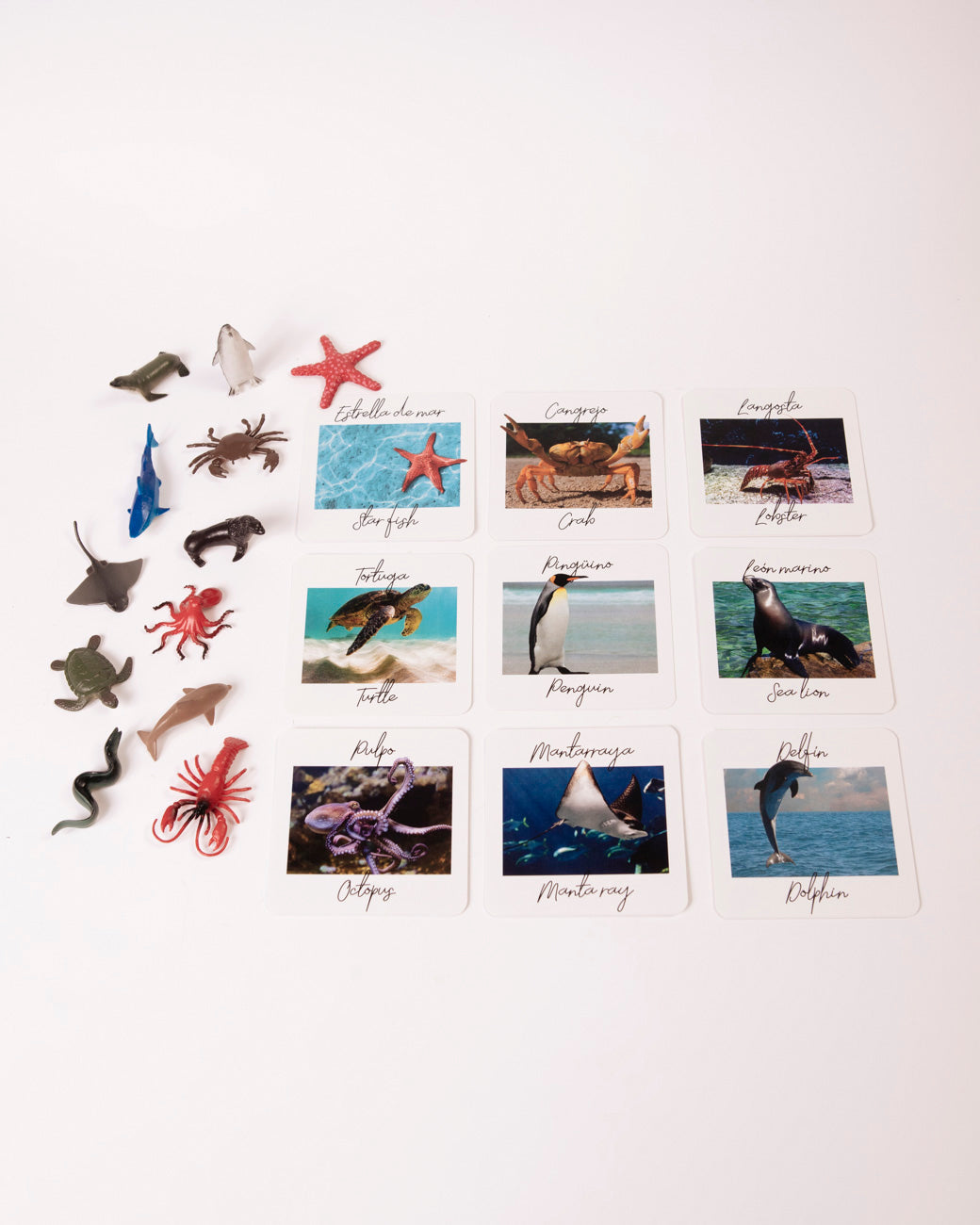 SET Sea Animals