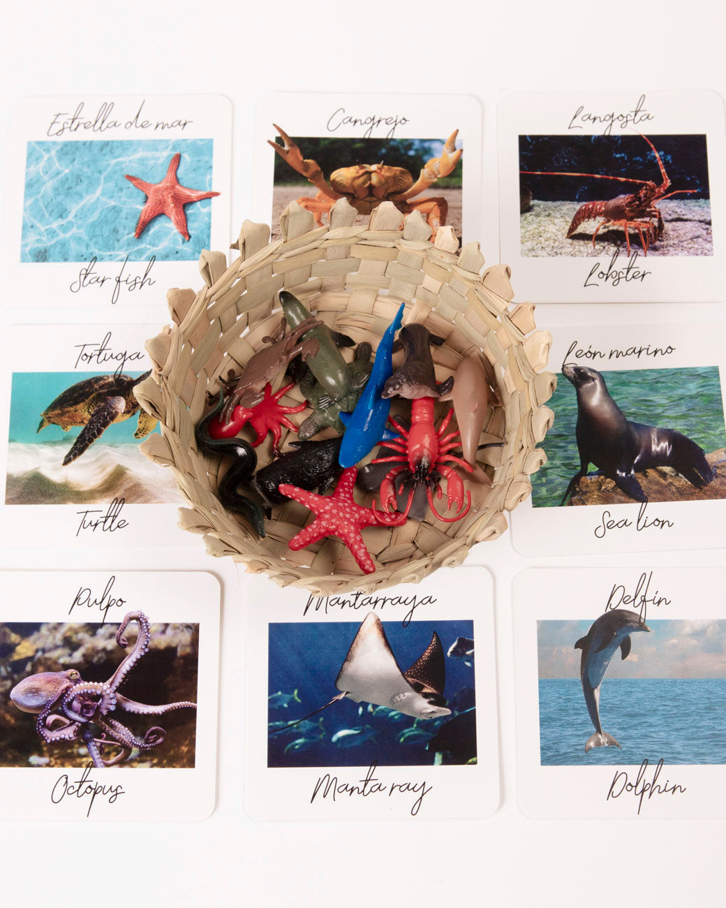 SET Sea Animals