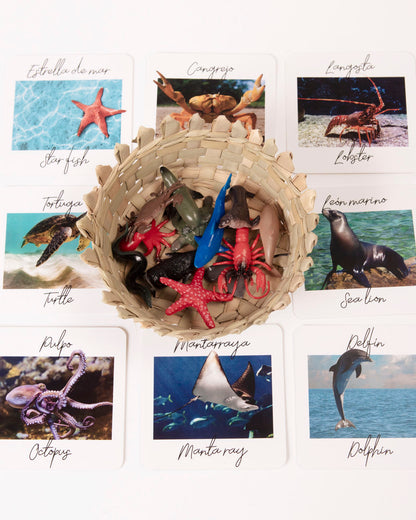 SET Sea Animals