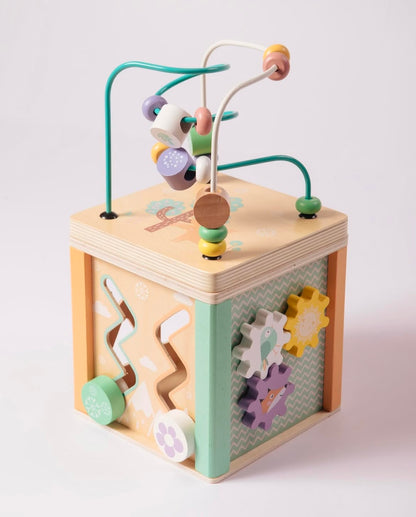 SET Cubo de Actividades