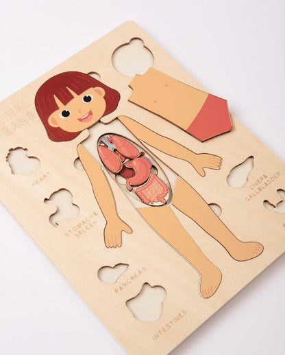 SET Puzzle Órganos