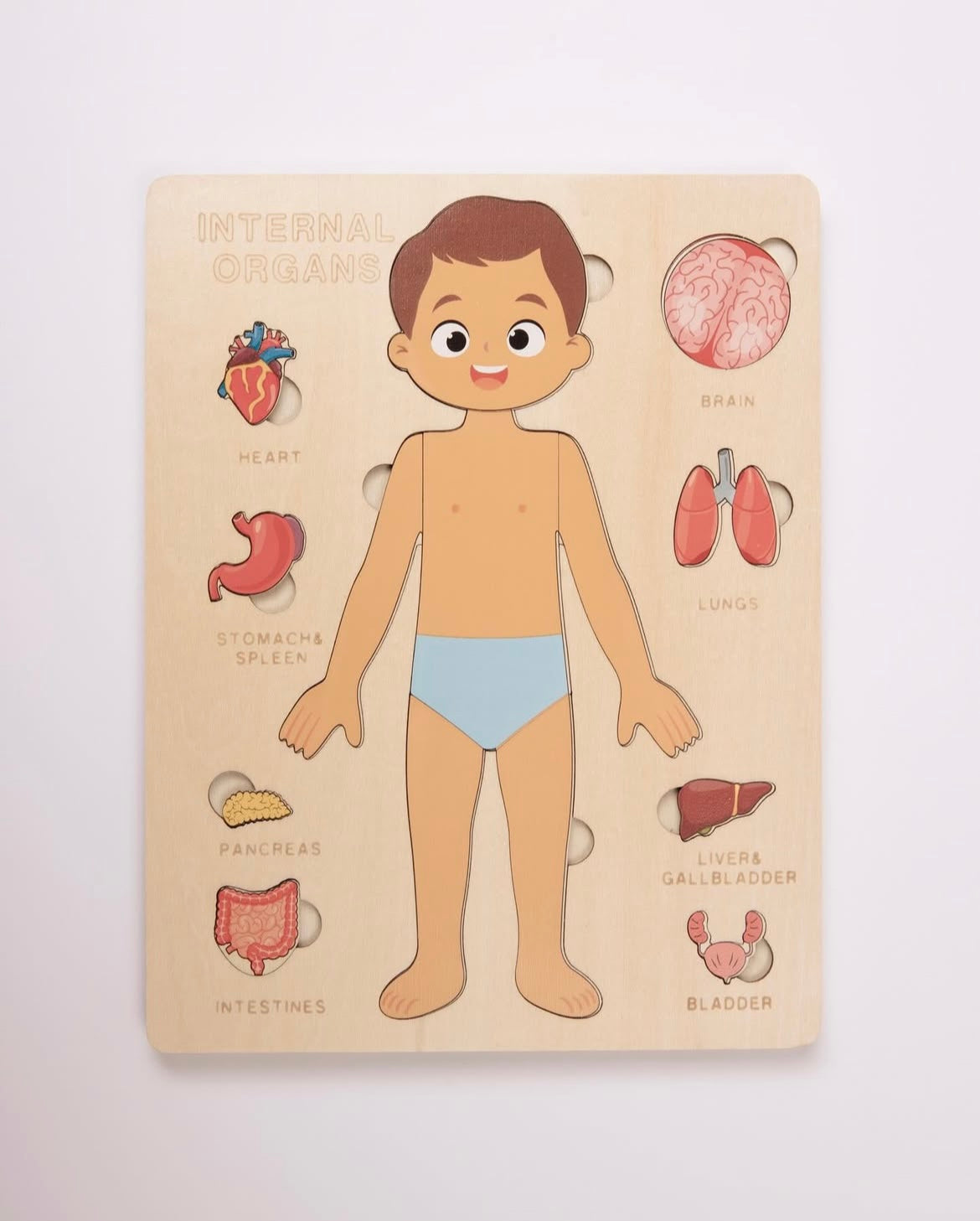 SET Puzzle Órganos